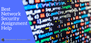 Network security assignment help